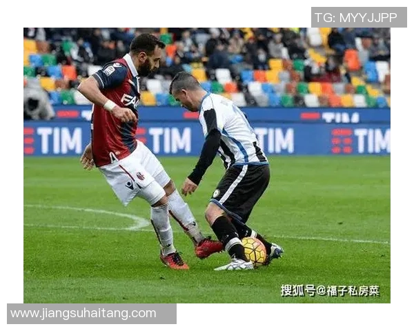 篮球加拿大对阵台北精彩赛事比分回顾与分析