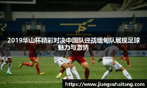 金沙集团1862cc成色官网