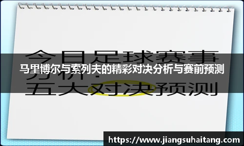 马里博尔与索列夫的精彩对决分析与赛前预测