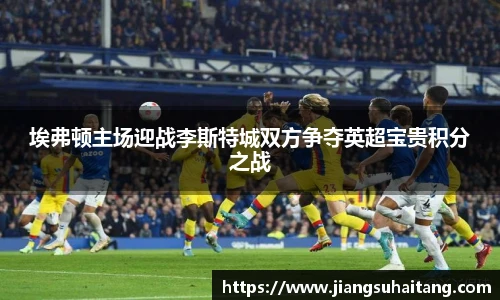 埃弗顿主场迎战李斯特城双方争夺英超宝贵积分之战