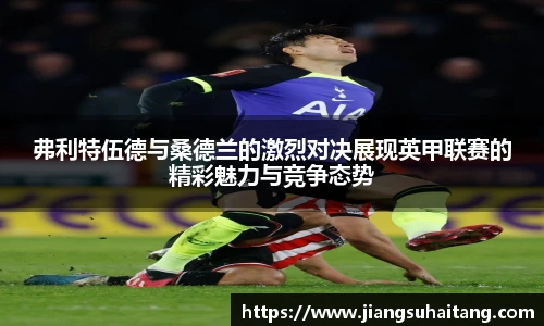 弗利特伍德与桑德兰的激烈对决展现英甲联赛的精彩魅力与竞争态势